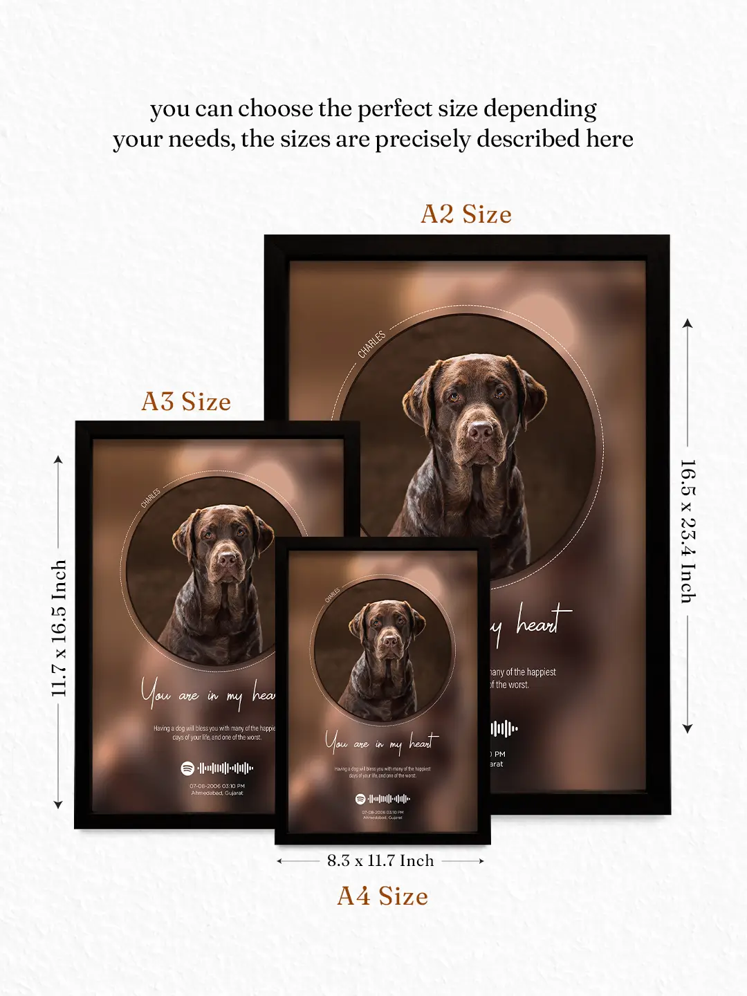 Popped Picture Pet Frame – Personalized Pet Photo, Name, Message & Song Frame