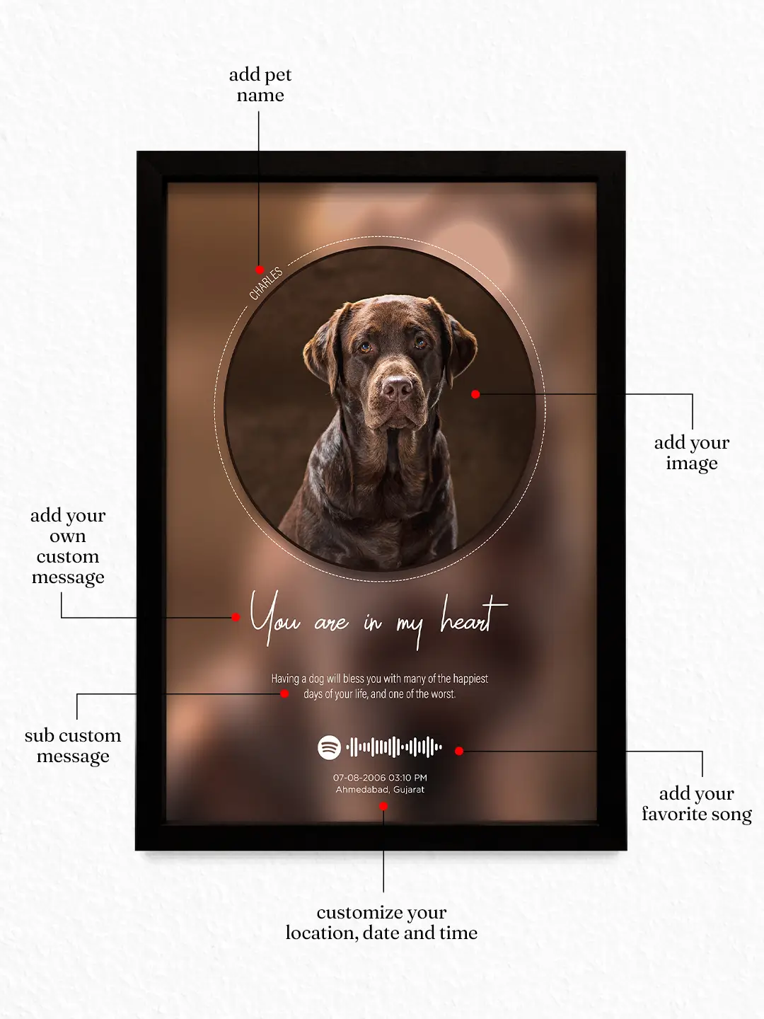 Popped Picture Pet Frame – Personalized Pet Photo, Name, Message & Song Frame